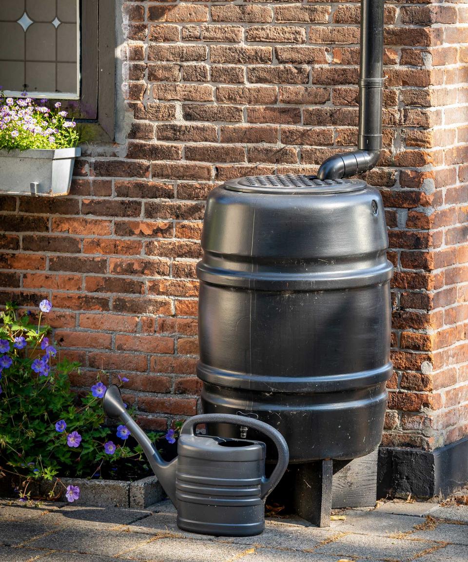 black rain barrel alongside house