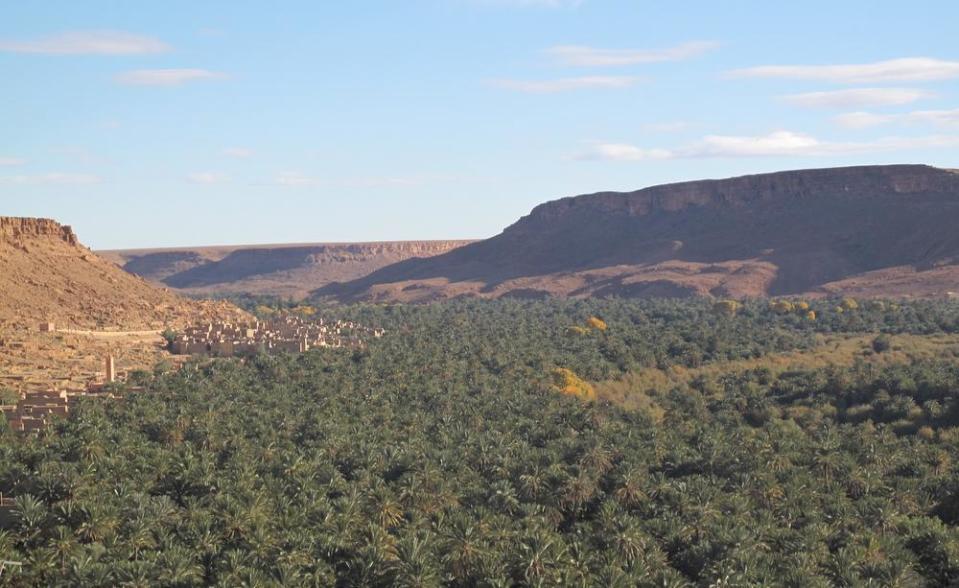 The Moroccan landscape is remarkably varied from snow to desert and lush valleys.