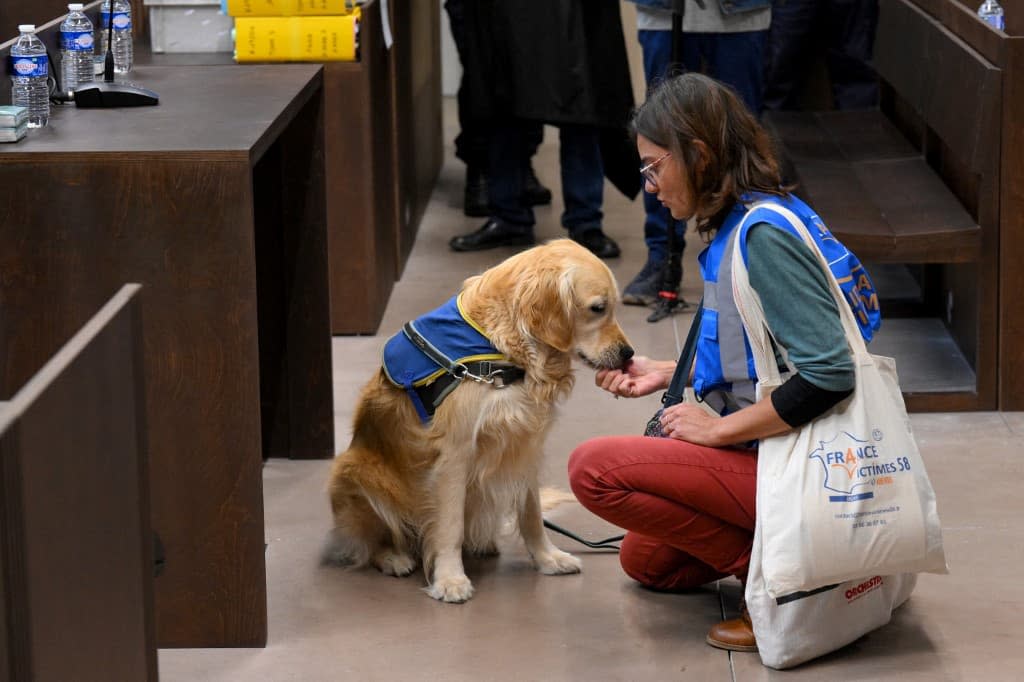 Au procès Millas, deux chiens aident simultanément les victimes et la mise en cause lors d'un procès, une première en France dans le cadre d'une audience. - Nicolas TUCAT / AFP