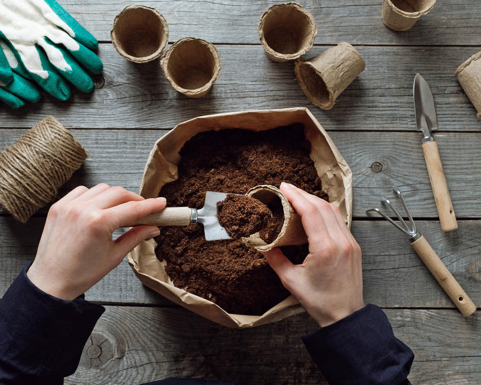 Adding potting soil to papier mache seed pots