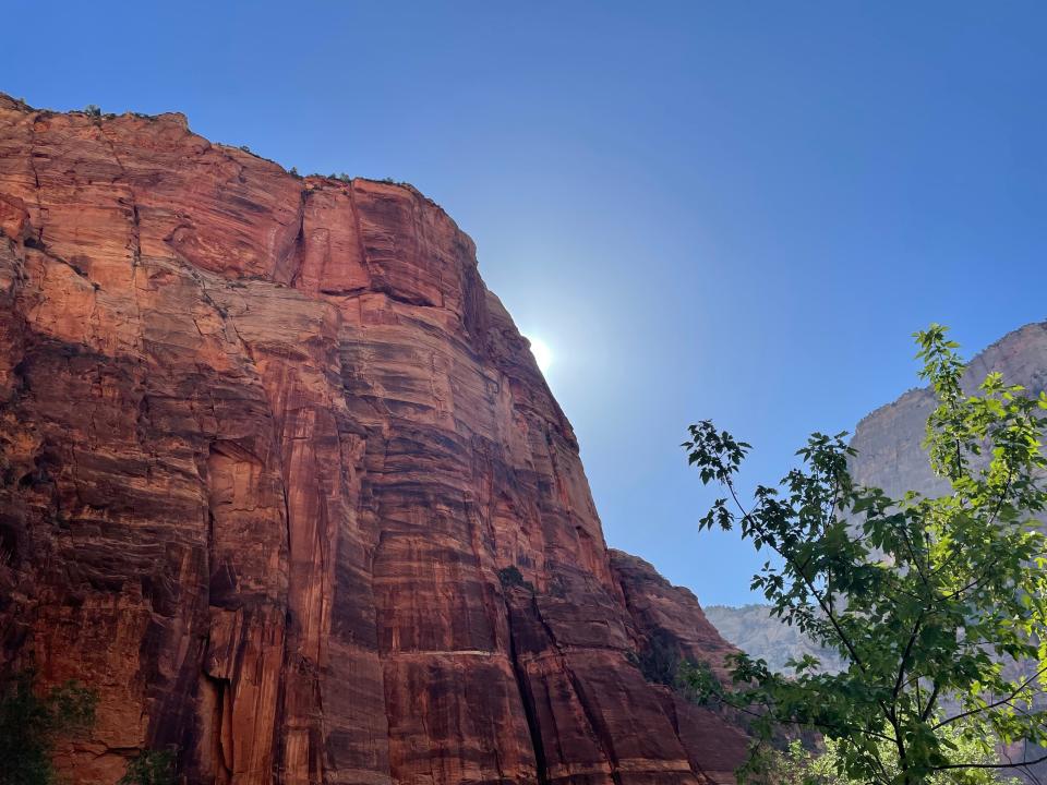 zion national park rocks with sun behind