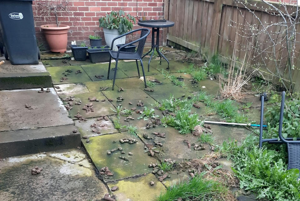 The dog mess was left in the garden for months. (SWNS)