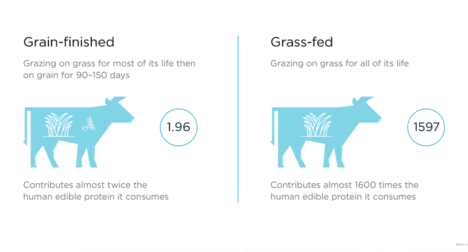 The amount of human edible protein required in two systems of production were compared. Source: CSIRO