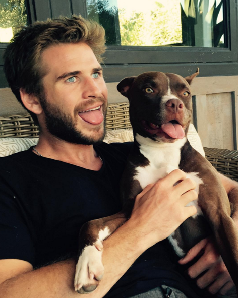 Liam Hemsworth and Tani