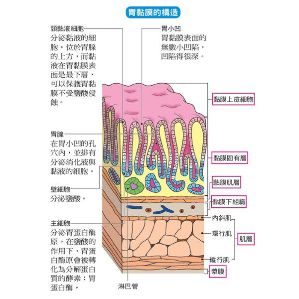 （圖片提供／大是文化）