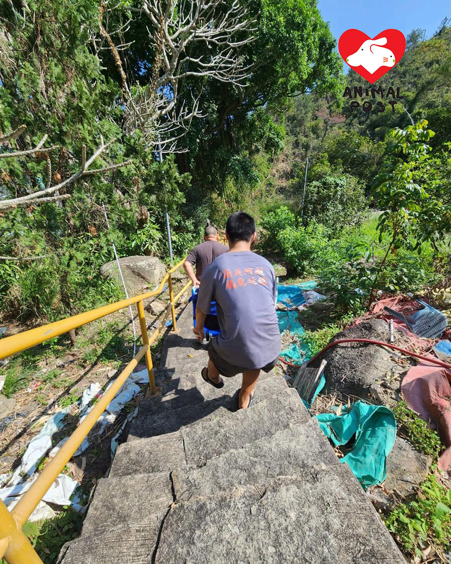 抬狗狗落山時需要走過很斜很長的樓梯。