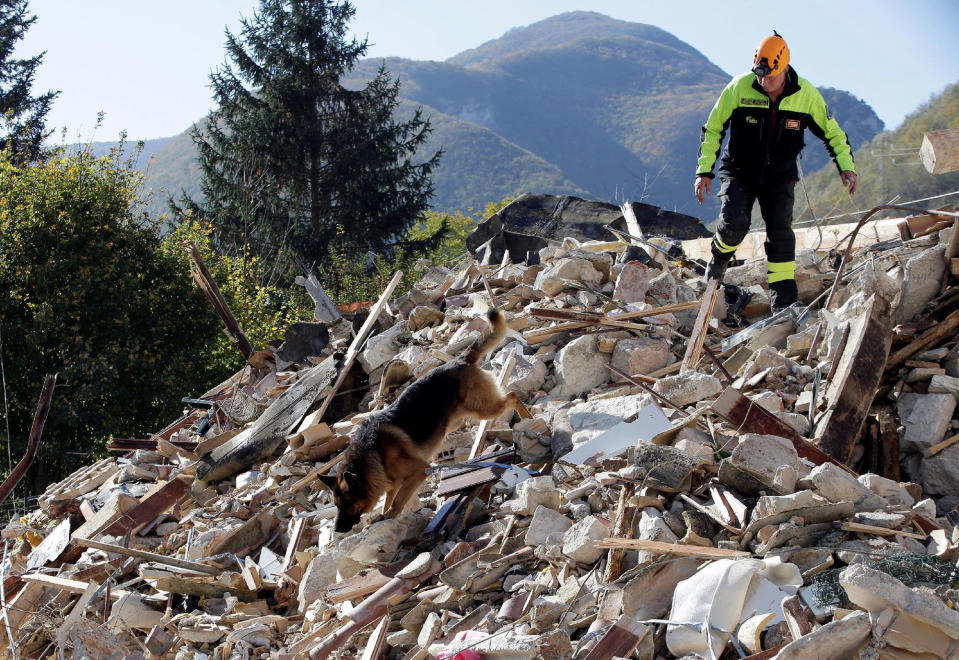 A firefighter with a rescue dog search a collapsed building