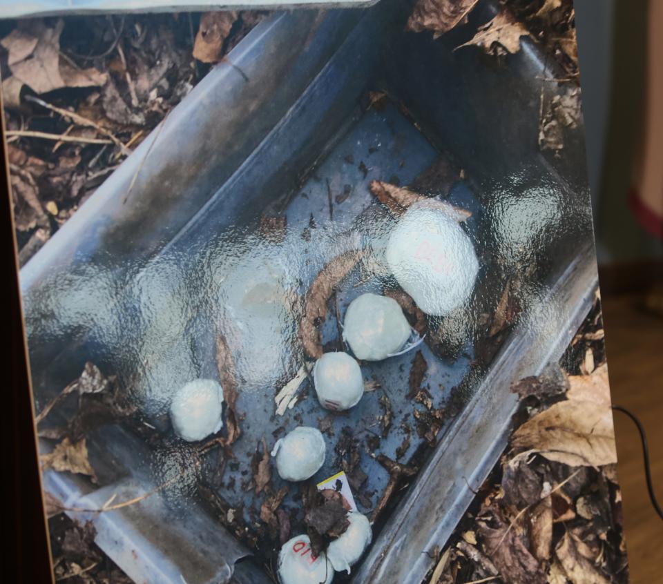 A photo shown at a press conference on February 21, 2023 shows drugs that were recovered in a wooded area in Hockessin.