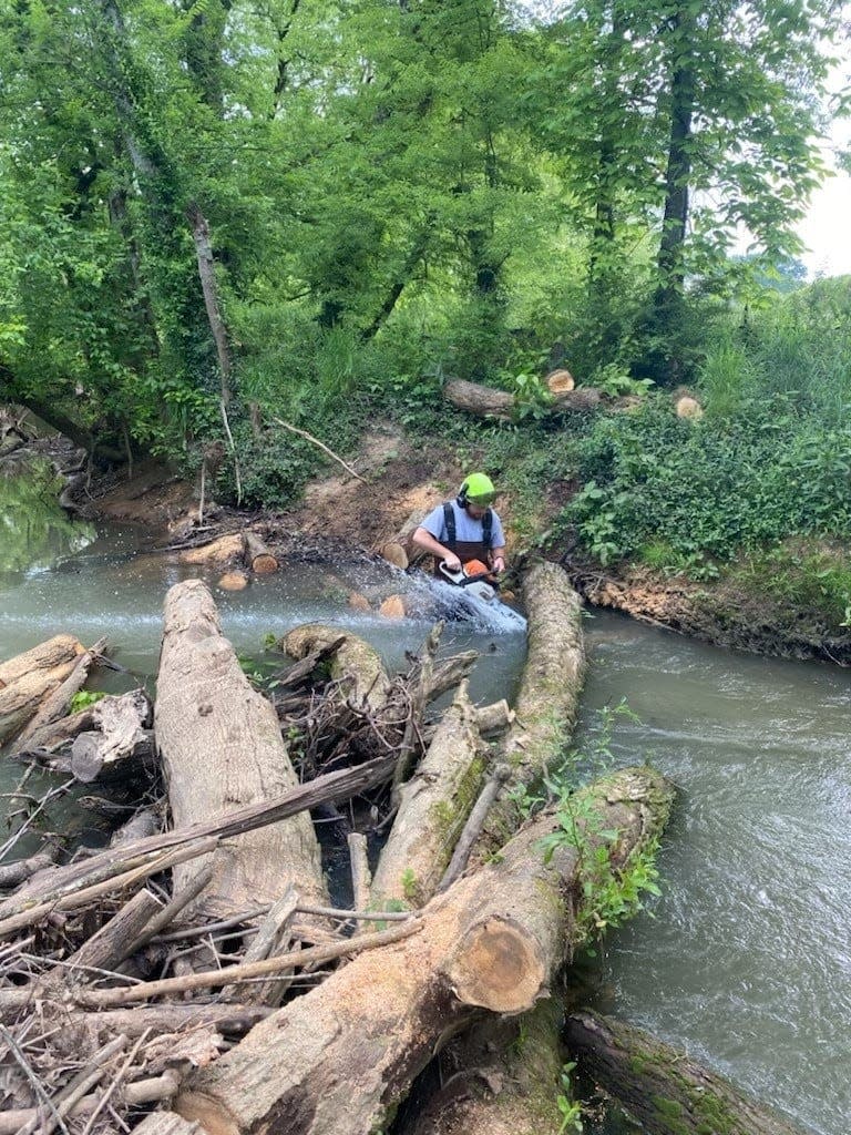 Before Beaver Creek can be navigated, it must be cleared.