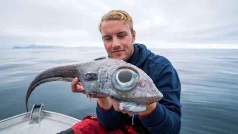 Oscar Lundahl pictured with the strange looking ratfish. Pic: BNPS