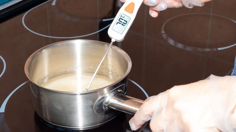 person using thermometer to test sugar