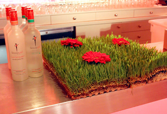 Gerbera Daisies in Wheatgrass