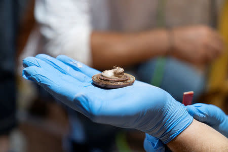 An archaeologist holds a finding from a grave of an ancient noble woman discovered inside a burial memorial of the Roman era on the island of Sikinos, Greece, July 19, 2018. Picture taken July 19, 2018. Greek Culture Ministry/Thanos Kartsoglou/Handout via REUTERS