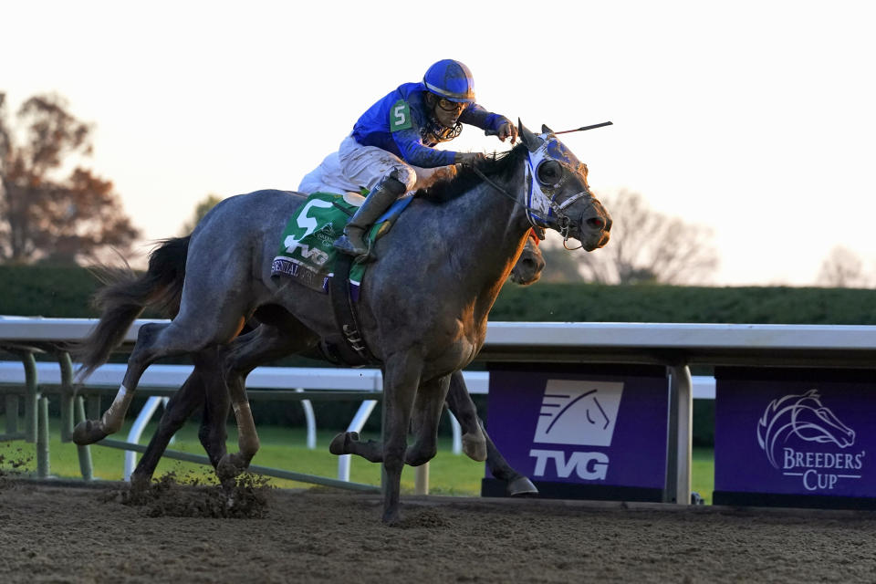 FILE - In this Nov. 6, 2020, file photo, jockey Luis Saez rides Essential Quality to win the Breeders' Cup Juvenile horse race at Keeneland Race Course in Lexington, Ky. Essential Quality is the expected favorite in the upcoming Kentucky Derby. (AP Photo/Michael Conroy, File)