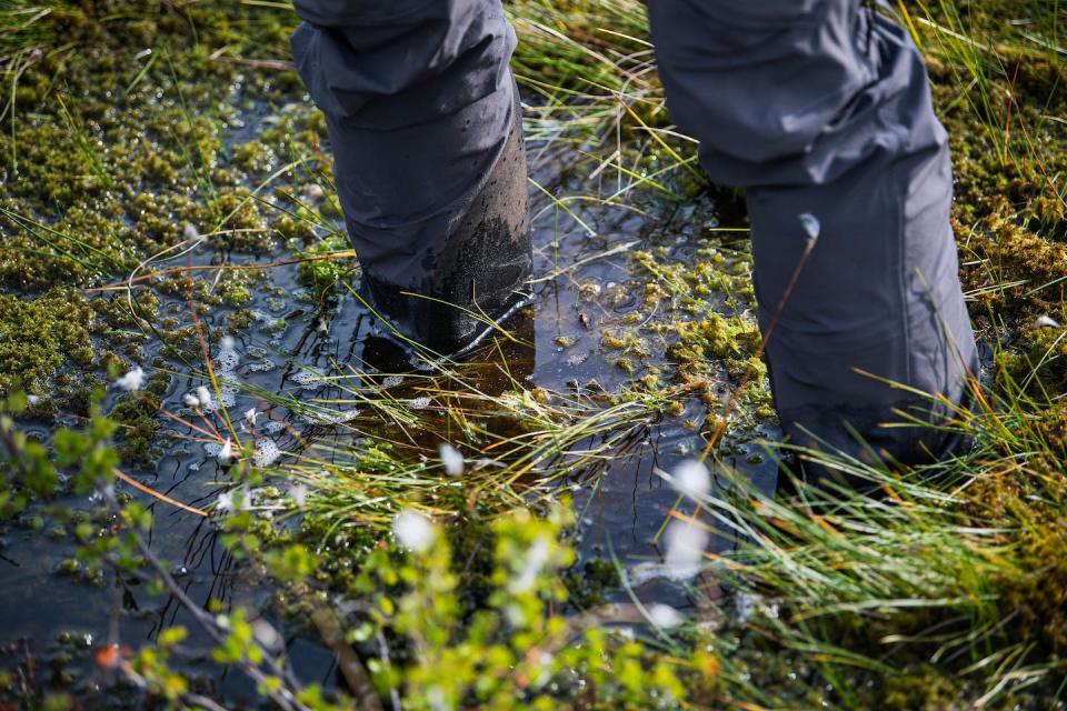 Methane from thawing permafrost bubbles up from an Arctic bog in Sweden. <a href="https://www.gettyimages.com/detail/news-photo/bubbles-of-methane-rise-to-the-surface-of-the-water-at-news-photo/1236111881" rel="nofollow noopener" target="_blank" data-ylk="slk:Jonathan Nackstrand/AFP via Getty Images;elm:context_link;itc:0;sec:content-canvas" class="link ">Jonathan Nackstrand/AFP via Getty Images</a>
