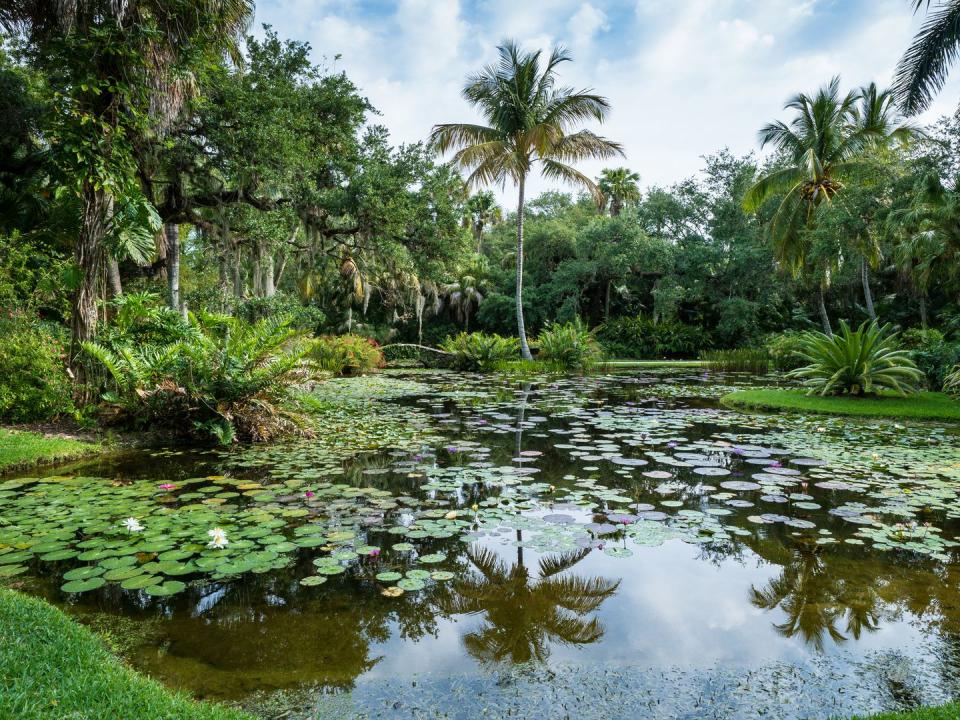 best florida gardens mckee botanical gardens veranda