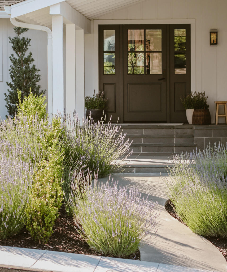 front yard with plants and path