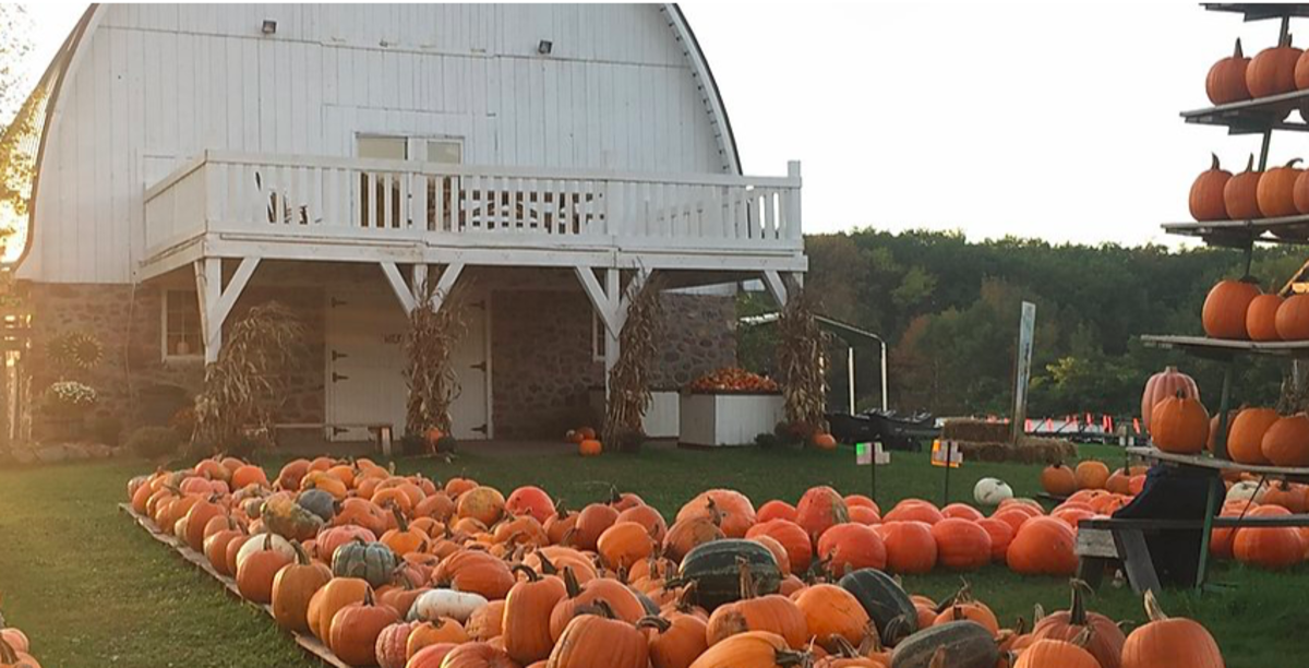 <p>Courtesy of Mommsen's Harvest Hills Pumpkin Patch & Apple Orchard</p>