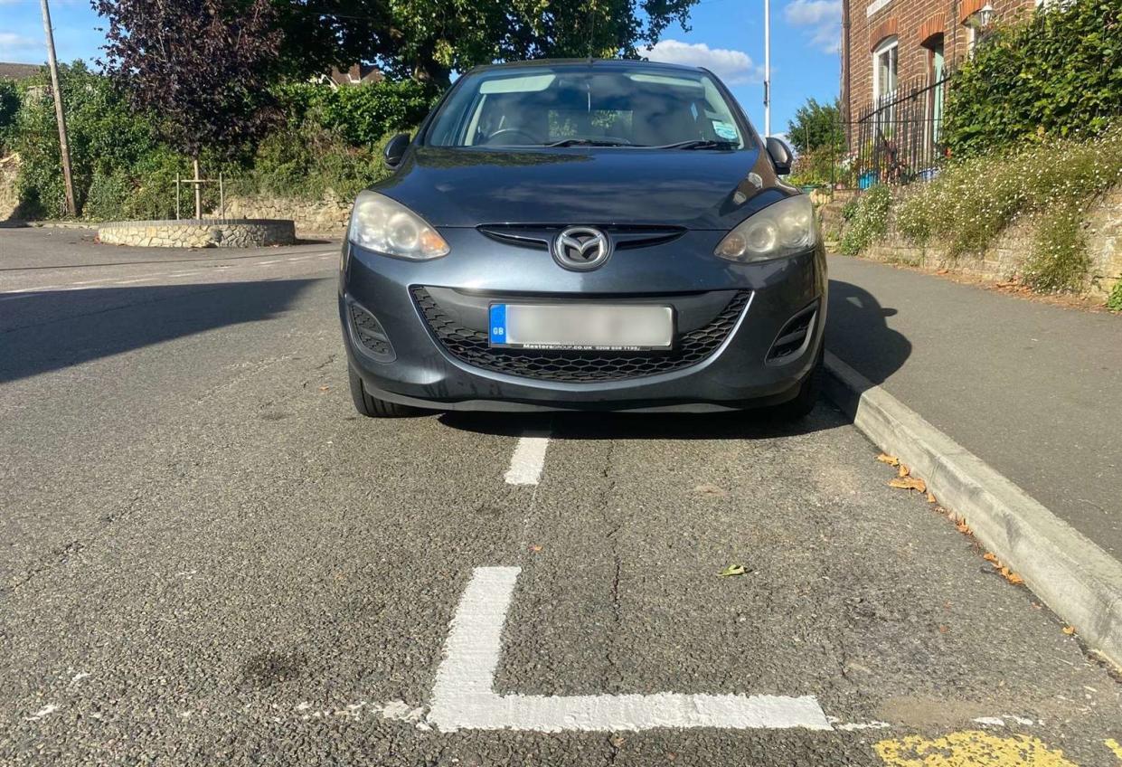 The small parking spaces painted on the road in Borough Green, Kent. (SWNS)