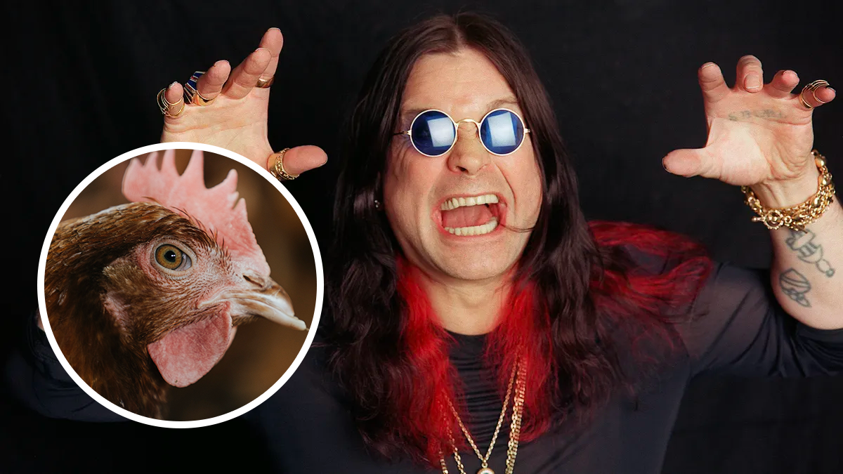  Ozzy Osbourne in 2001, with a photo of a chicken inset. 