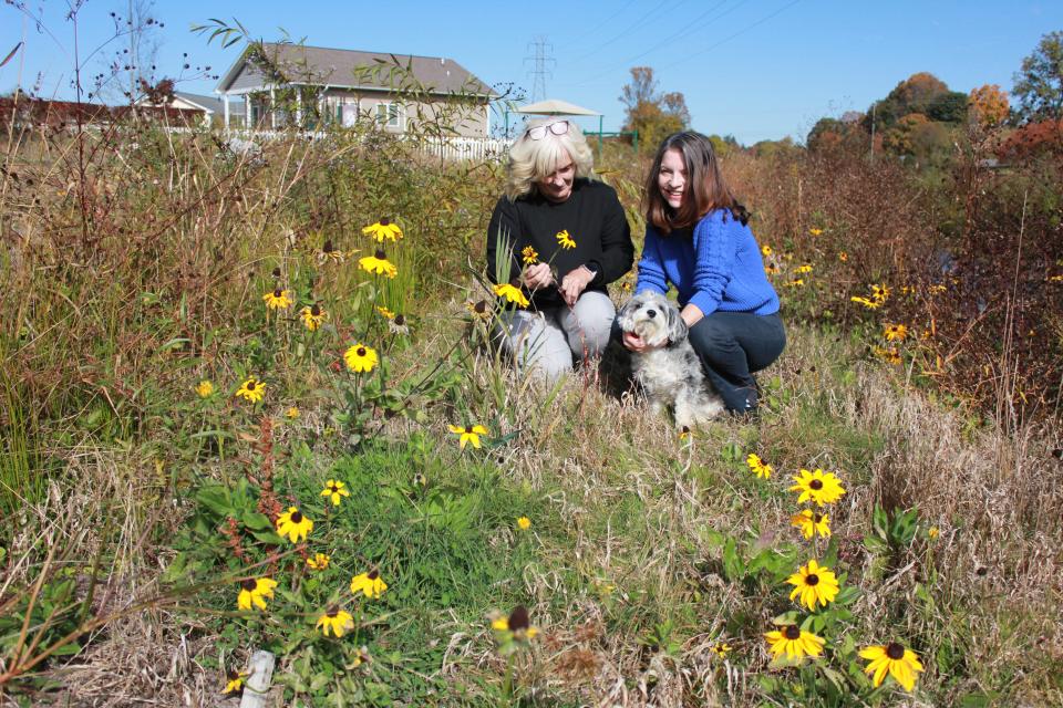Linda Corns and Linda Saturno look at flowers by the stream at Dodd Meadows in East Flat Rock.