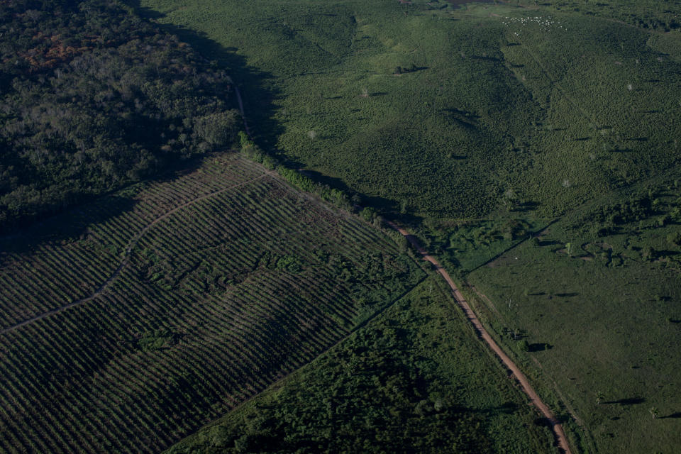 An undated file photo shows a road going through the Amazon rainforest outside Rio Branco, the capital of Acre Province, Brazil.  / Credit: Per-Anders Pettersson via Getty