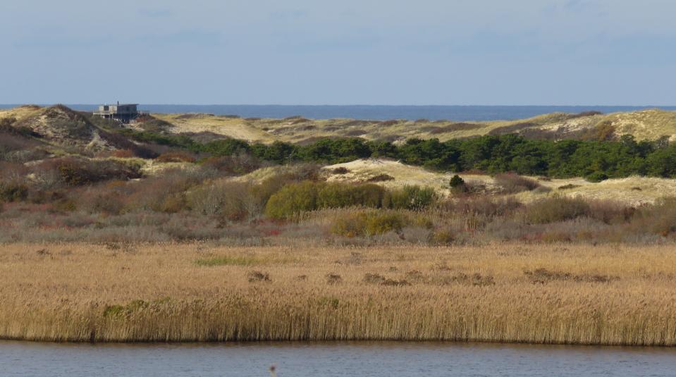 Looking over East Harbor toward the Province Lands and Atlantic Ocean from High Head in Truro.