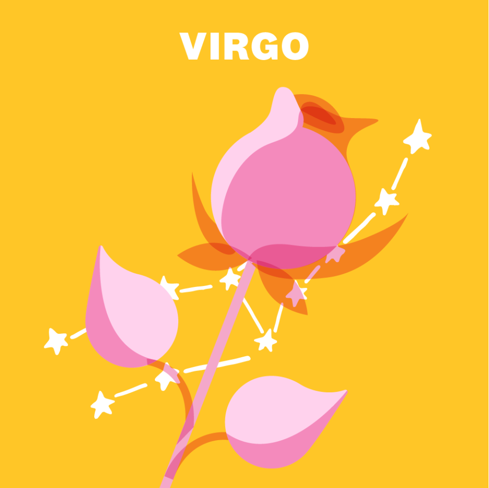 6) VIRGO (AUGUST 23–SEPTEMBER 22)