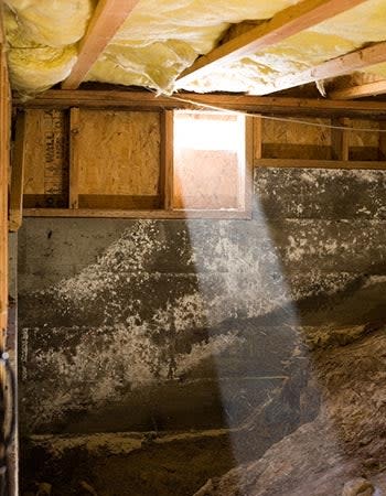 Mold in a basement with exposed yellow insulation.