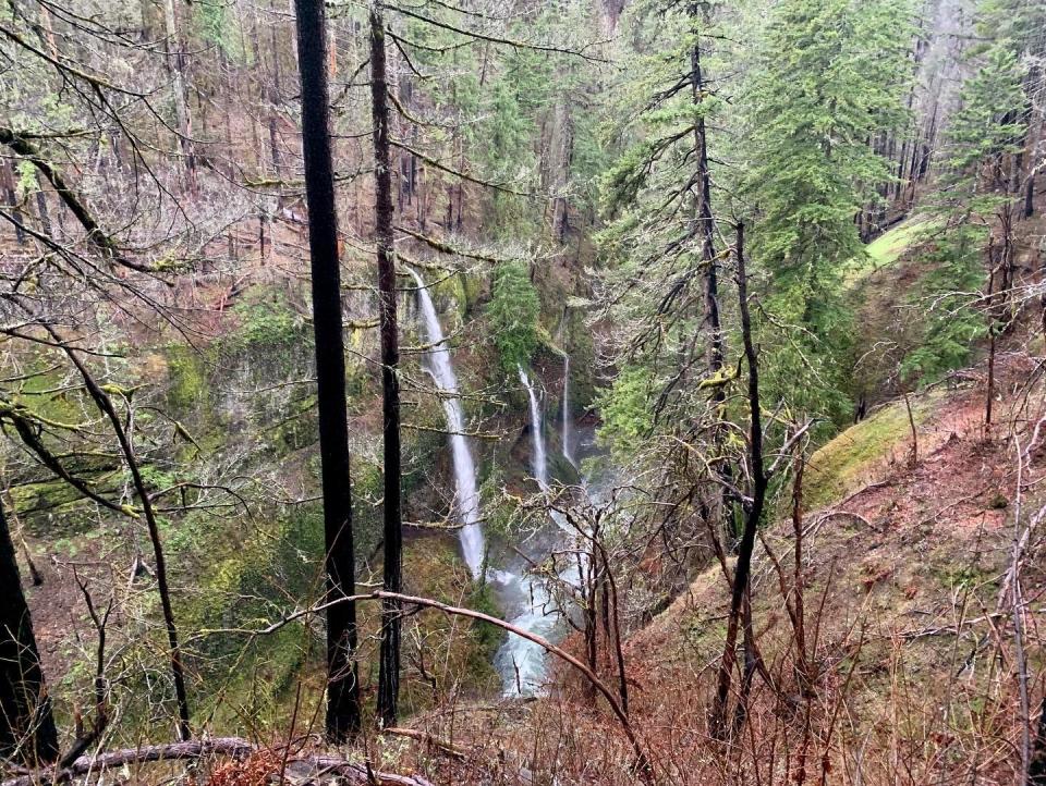 Eagle Creek Trail, en Columbia River Gorge cerca de Cascade Locks, presenta cascadas, colores otoñales y puentes altos. El sendero fue el sitio del incendio Eagle Creek de 2017, que dejó cicatrices de quemaduras a lo largo de la caminata.