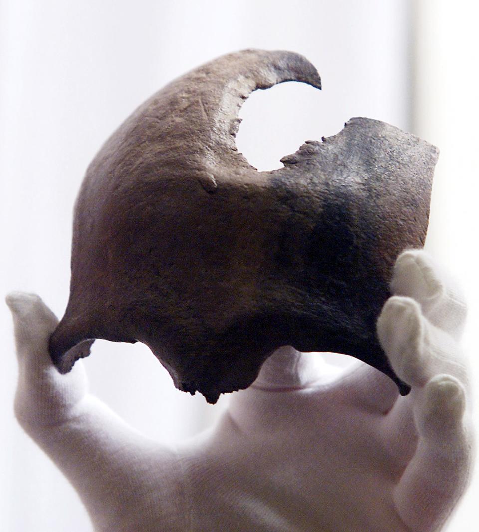 A gloved hand holds a piece of a Bronze Age skull