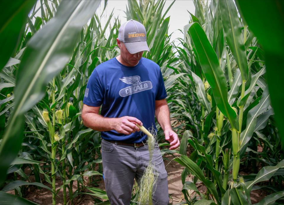 Andy Rahe checks on the corn on July 23, 2022, at the "Field of Dreams" movie site in Dyersville.