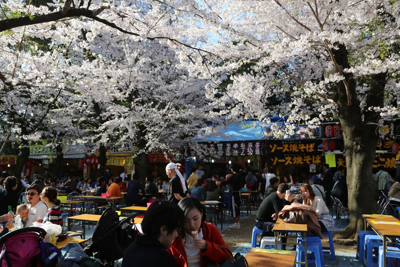 交通部觀光局統計2023年1到3月出國有208萬5700人次，其中最受台灣旅客歡迎的是日本，有80萬2150人次。東京櫻花盛開季節吸引台灣旅客。（中央社資料照 ）