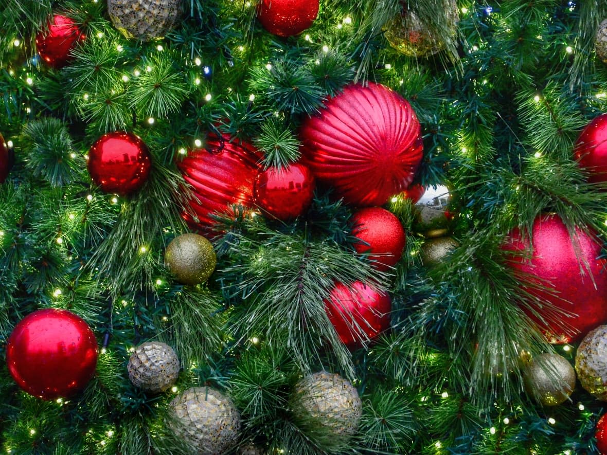 Sooner or later, those baubles need to come off and that tree has to go. But you don't necessarily need to toss it in the trash. (Jean-Claude Taliana/CBC/Radio-Canada                                         - image credit)