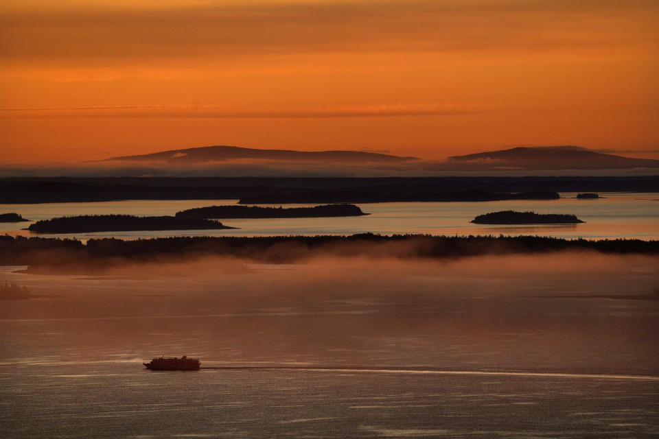 A cruise ship crosses Penobscot Bay, Tuesday, June 4, 2024, in off the coast of Camden, Maine. A homeowner poisoned a neighbor's trees to get a view of the scenic waterfront, sparking outrage in the community. (AP Photo/Robert F. Bukaty)