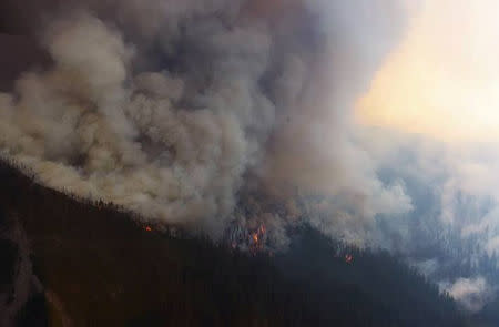 Wildfire burns in Willamette National Forest, Oregon, U.S. made available on August 8, 2017. Courtesy U.S. Forest Service Willamette National Forest/Handout via REUTERS