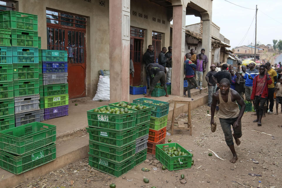 A man runs to load a crate of avocados inside a truck in Kayanza province, Burundi, Sept. 18, 2024. (AP Photo/Brian Inganga)