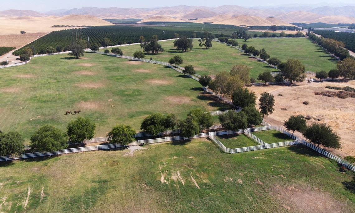 Part of the Harris River Ranch property near the Kings River along Trimmer Springs Road has been proposed as a special study area, added to the Fresno County general plan. Owned by John Harris, the land may become home to a college campus, housing, commercial and recreational use including hiking trails along the river and more. Photographed Thursday, July 14, 2022.