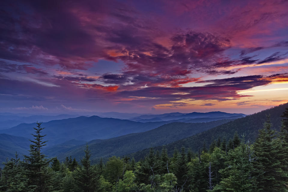 Clingmans Dome