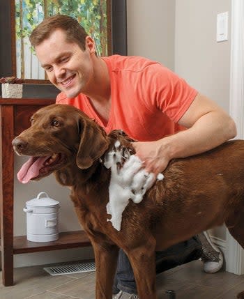 Model using white shampoo on brown dog