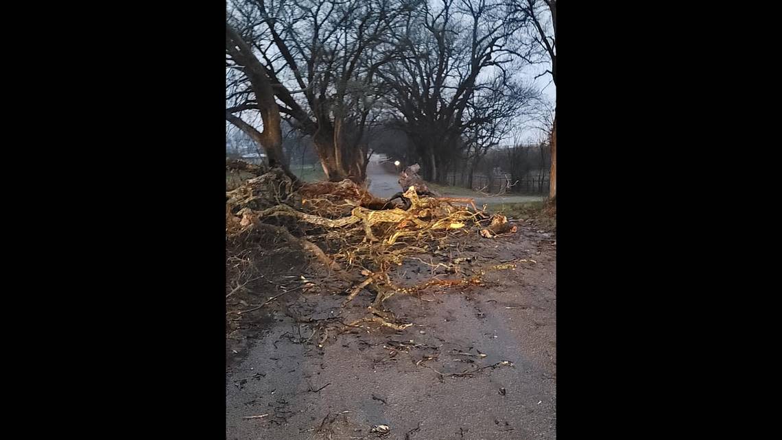 Large trees and power lines were knocked down and other debris was reported in Weatherford after a storm on Thursday, March 2, 2023.