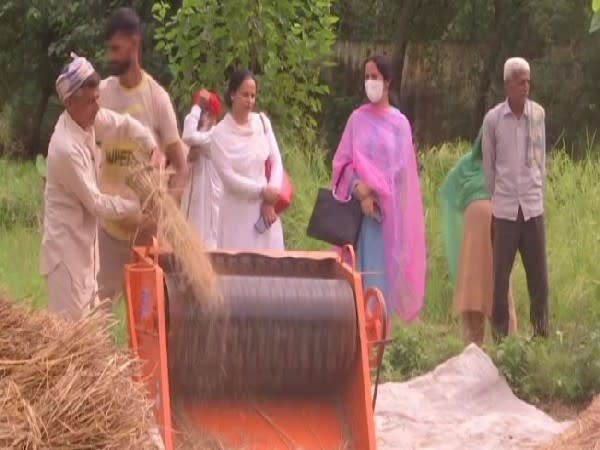Farmers in Udhampur district are using paddy thresher