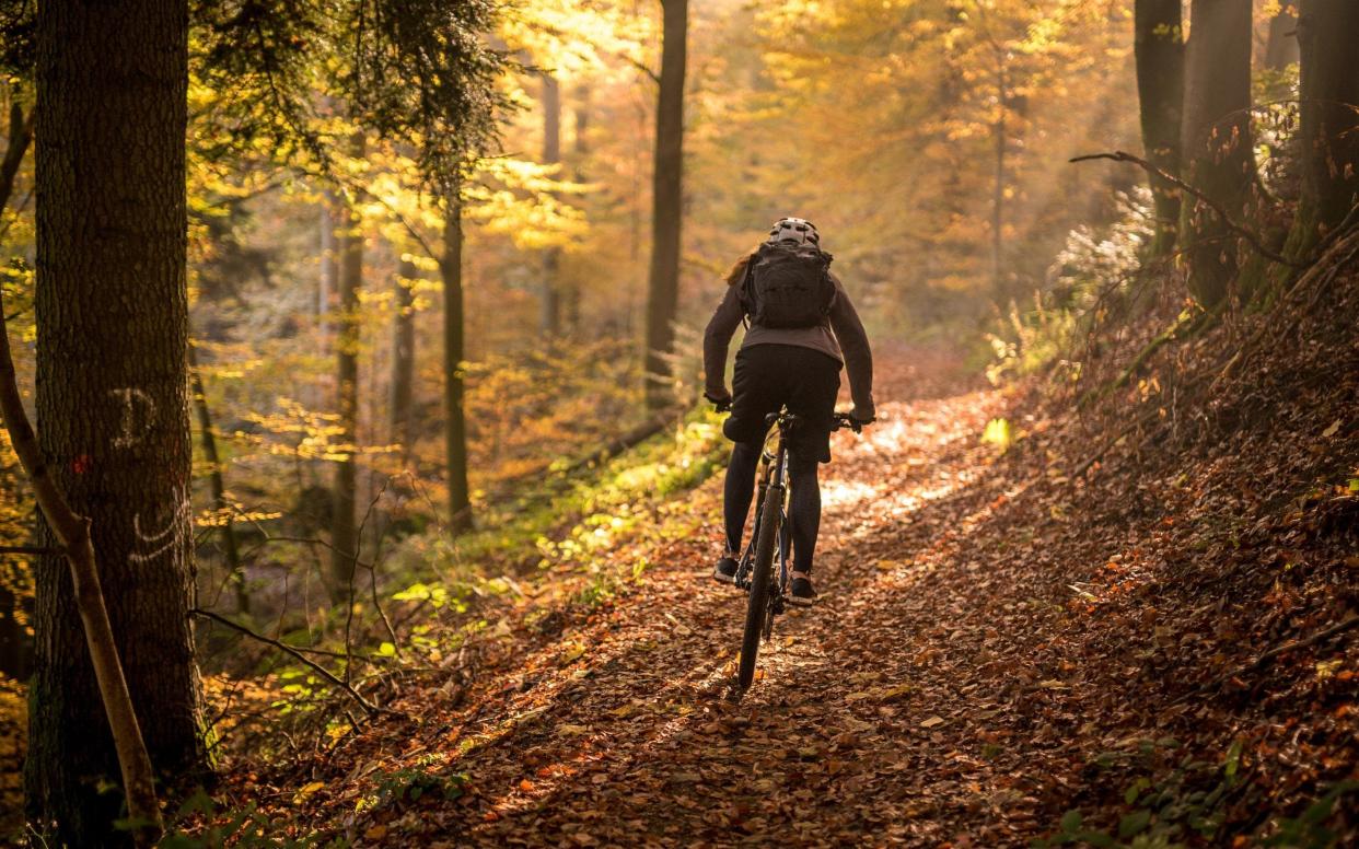 bike black forest - Getty