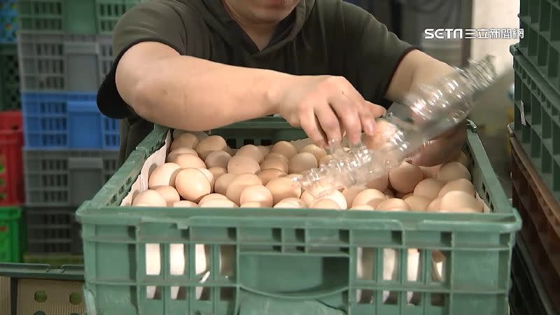 農委會提出新方案解決缺蛋問題，但有立委質疑配套措施。
