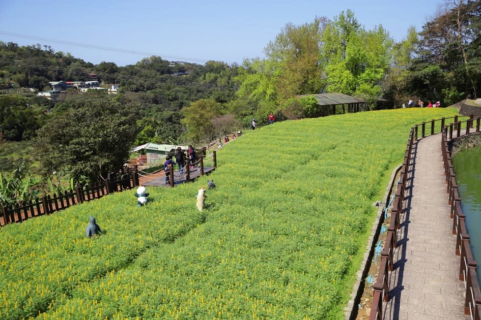 連假小走春！搭公車暢遊北市6處浪漫花海