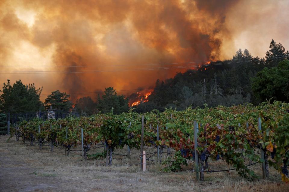 the glass fire california napa valley wildfires