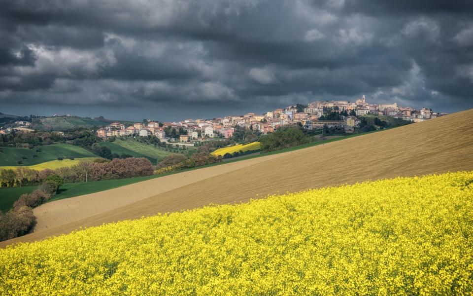 Four people have been arrested after the raid in Monte San Giusto - Luigi Alesi/EyeEm