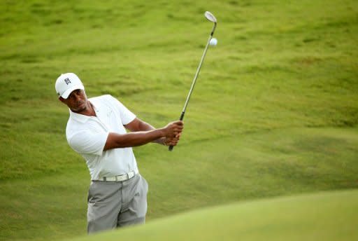 Tiger Woods during a practice round ahead of the PGA Championship in South Carolina on August 7. Only Woods, Greg Norman, Nick Faldo and Seve Ballesteros have been number one longer than Luke Donald, and all of them had won a major before reaching the top of the ranking