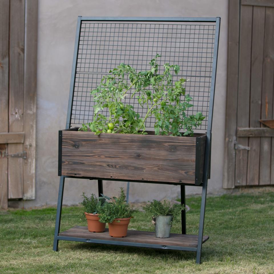 Guthrie Wood Raised Planter with Trellis