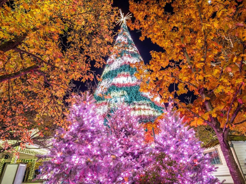 Christmas tree in Branson, Missouri.